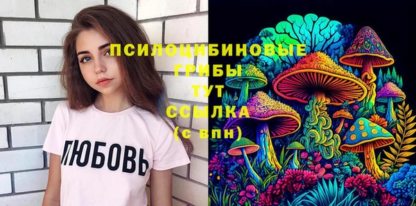 метадон Белокуриха