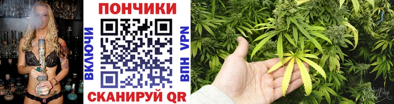 Купить  Белоозёрский  Канабис SATIVA & INDICA 
